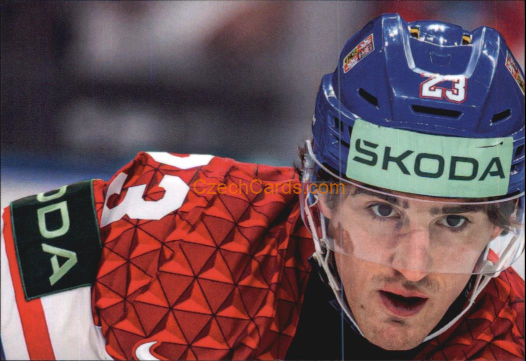 Lukáš Sedlák 2024 LC Golden Belong To Us Golden Jigsaw Puzzle #LS02