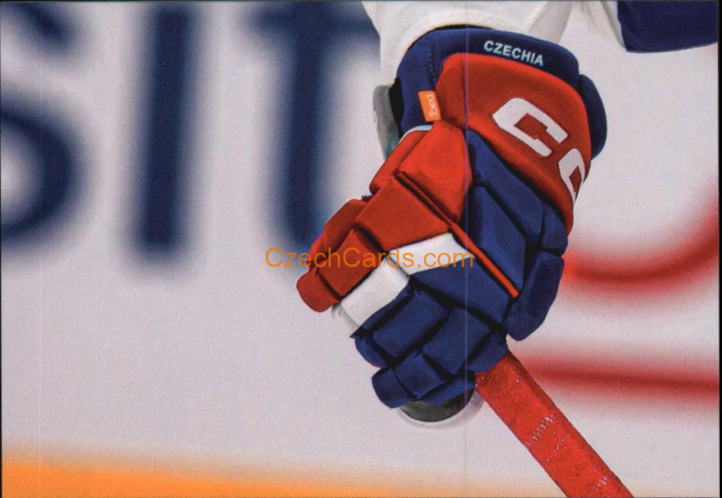 Lukáš Sedlák 2024 LC Golden Belong To Us Golden Jigsaw Puzzle #LS04