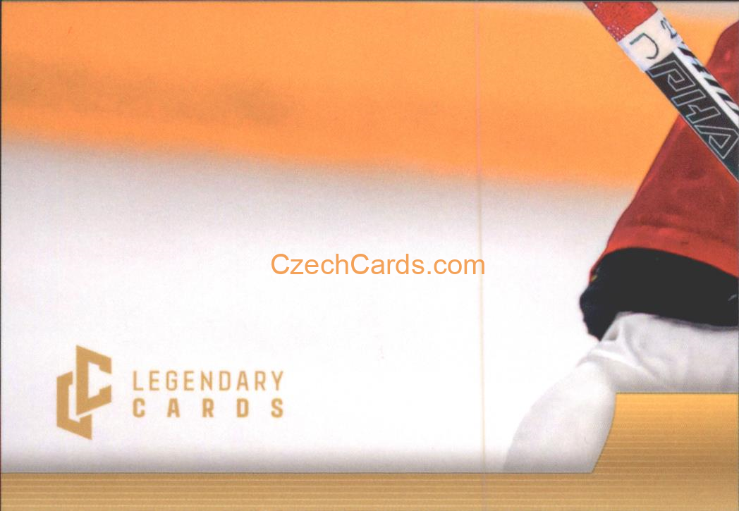 Lukáš Sedlák 2024 LC Golden Belong To Us Golden Jigsaw Puzzle #LS07