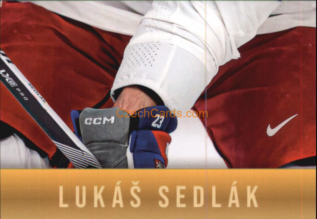 Lukáš Sedlák 2024 LC Golden Belong To Us Golden Jigsaw Puzzle #LS08