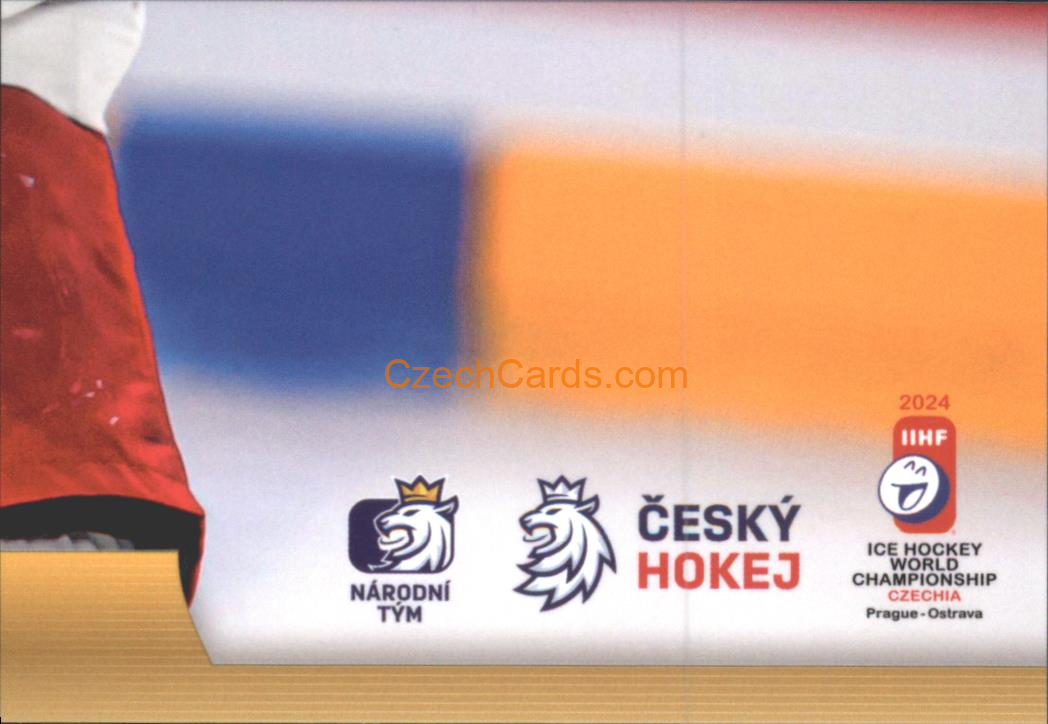 Lukáš Sedlák 2024 LC Golden Belong To Us Golden Jigsaw Puzzle #LS09