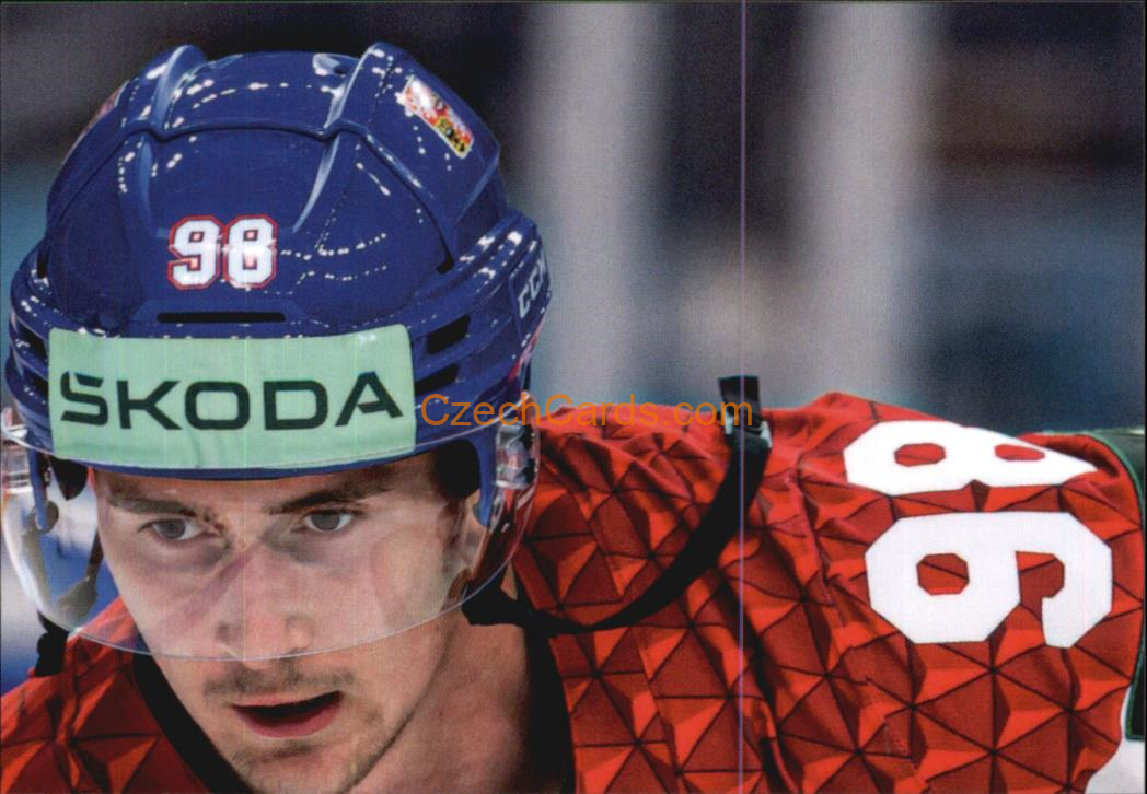 Martin Nečas 2024 LC Golden Belong To Us Golden Jigsaw Puzzle #MN02