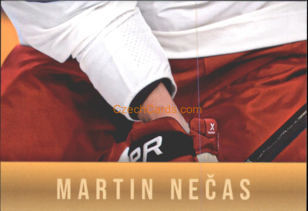 Martin Nečas 2024 LC Golden Belong To Us Golden Jigsaw Puzzle #MN08
