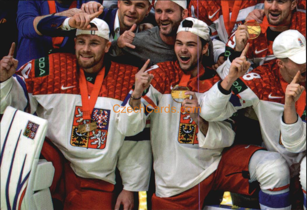 Mistři Světa 2024 LC Golden Belong To Us Golden Jigsaw Puzzle #MS04