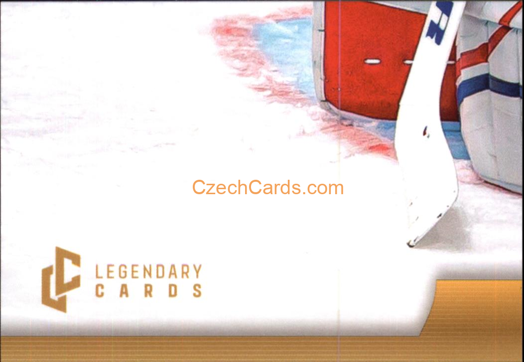 Petr Mrázek 2024 LC Golden Belong To Us Golden Jigsaw Puzzle #PM07