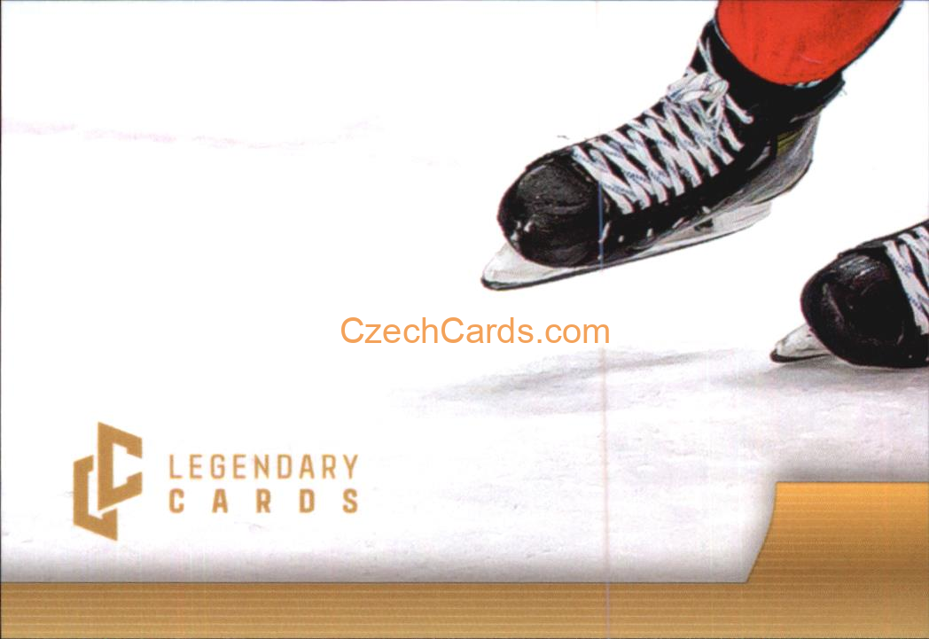 Pavel Zacha 2024 LC Golden Belong To Us Golden Jigsaw Puzzle #PZ07