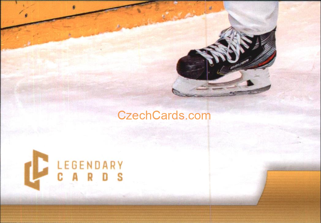 Roman Červenka 2024 LC Golden Belong To Us Golden Jigsaw Puzzle #RČ07