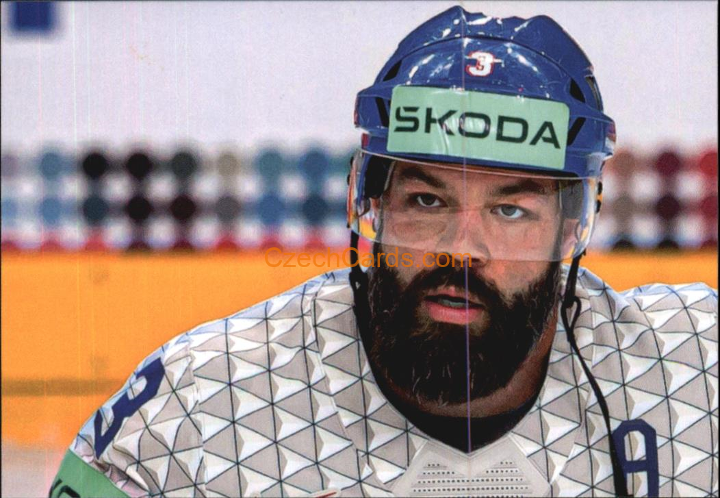 Radko Gudas 2024 LC Golden Belong To Us Golden Jigsaw Puzzle #RG02