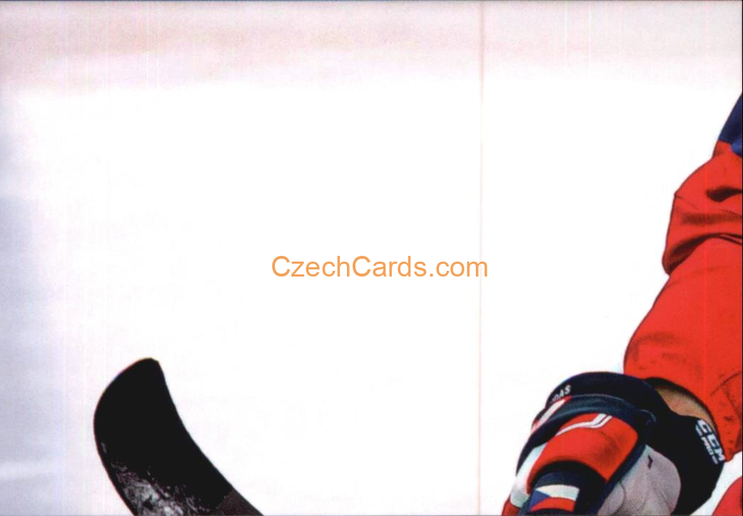 Radko Gudas 2024 LC Golden Belong To Us Golden Jigsaw Puzzle #RG04