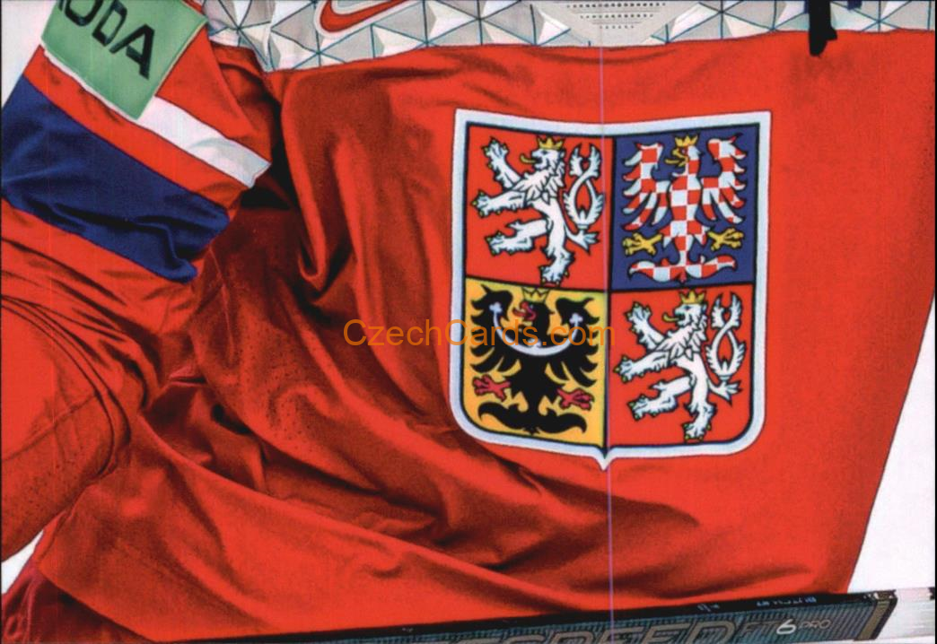 Radko Gudas 2024 LC Golden Belong To Us Golden Jigsaw Puzzle #RG05