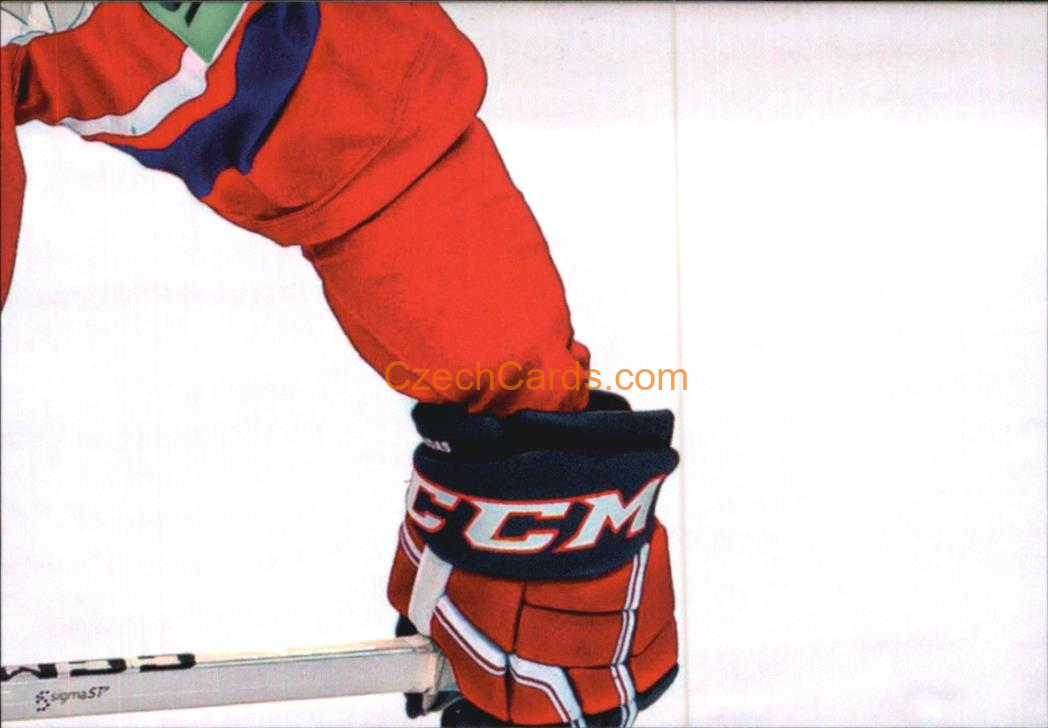 Radko Gudas 2024 LC Golden Belong To Us Golden Jigsaw Puzzle #RG06