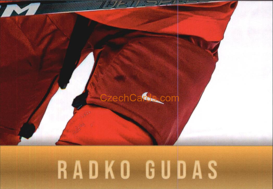 Radko Gudas 2024 LC Golden Belong To Us Golden Jigsaw Puzzle #RG08