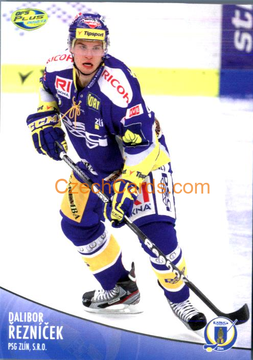 Řezníček Dalibor 2012/13 OFS hokejová karta #287