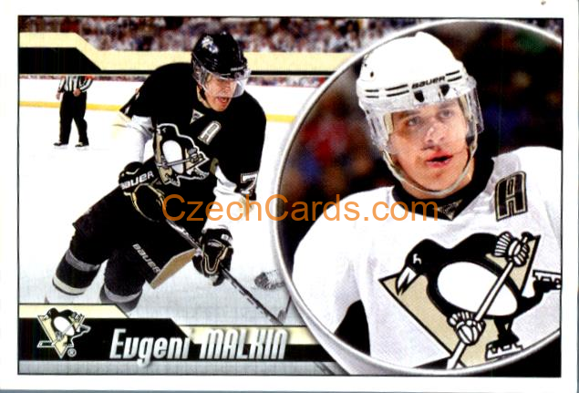 Evgeni Malkin 2010-11 Panini NHL Sticker #119