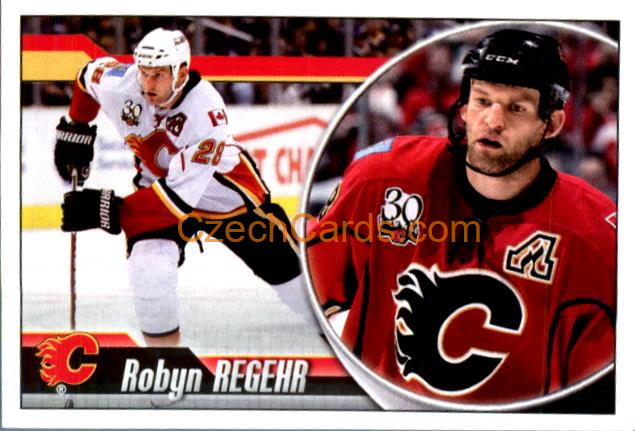 Robyn Regehr 2010-11 Panini NHL Sticker #173