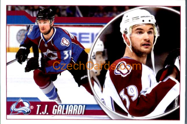 T.J. Galiardi 2010-11 Panini NHL Sticker #196