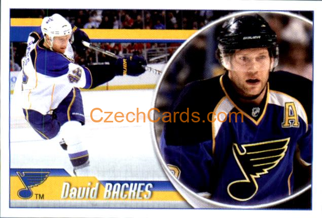 David Backes 2010-11 Panini NHL Sticker #291