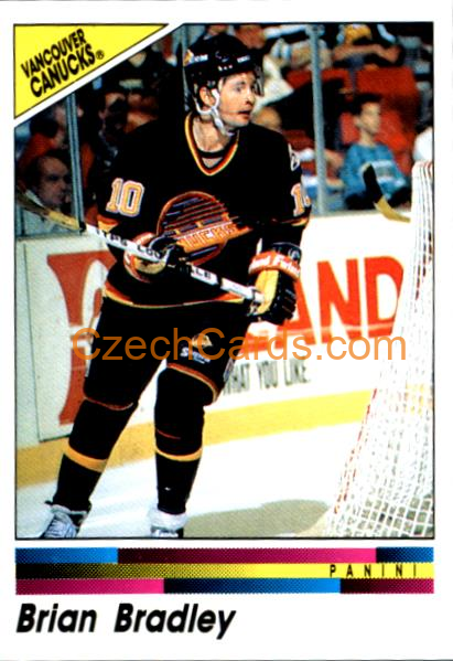 Brian Bradley 1990/91 Panini NHL sticker #302