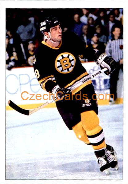 Cam Neely Boston 1990/91 Panini NHL sticker #327