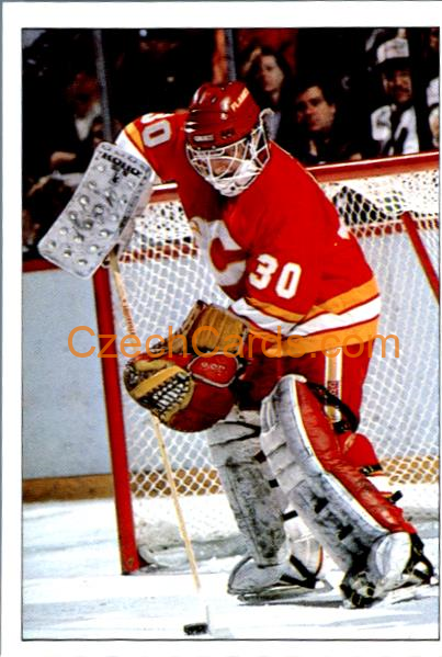 Mike Vernon Calgary 1990/91 Panini NHL sticker #329