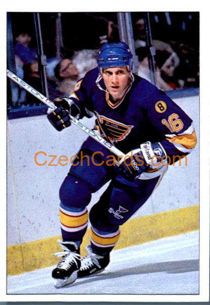 Brett Hull St. Louis 1990/91 Panini NHL sticker #333