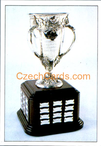 Calder Memorial Trophy 1990/91 Panini NHL sticker #348