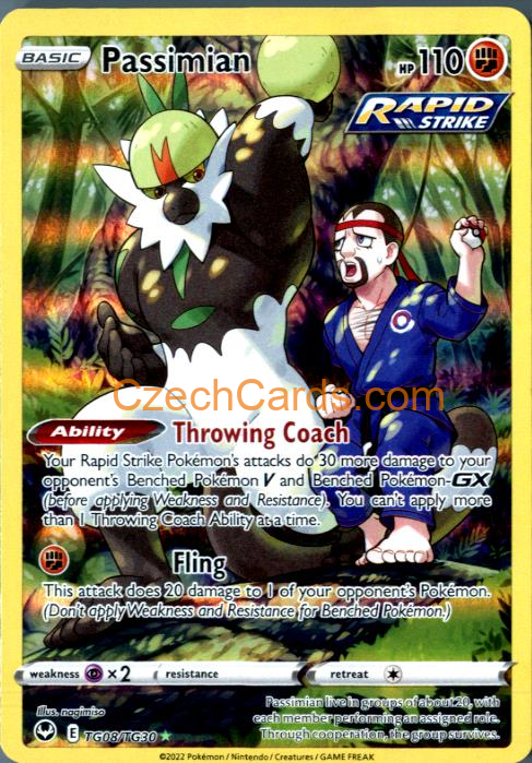 Passimian TG08/TG30 gallery illustration Pokémon Card