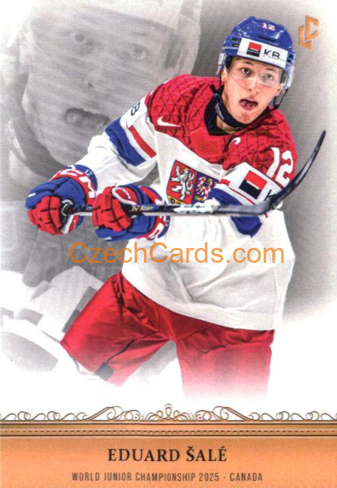Eduard Šalé 2024/25 LC Český hokej #WJC-09