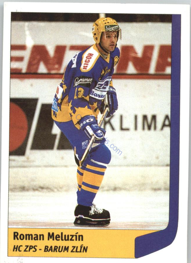 Roman Meluzín 1998 DS Český Hokej #294