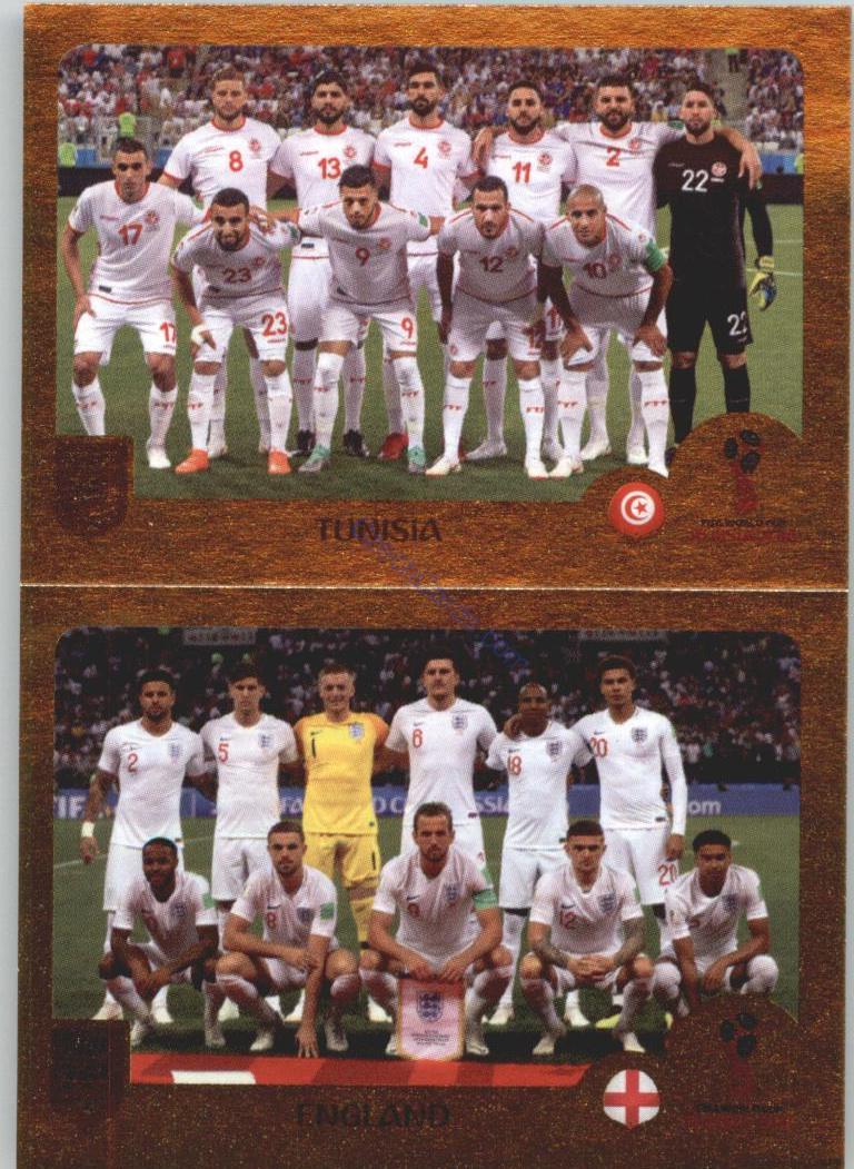 Tunisia / England 2019 Panini FIFA 365 Gold #391