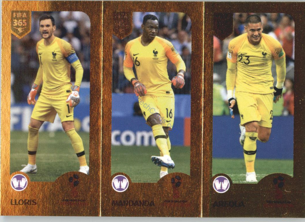 Lloris / Mandanda / Areola 2019 Panini FIFA 365 Gold #404